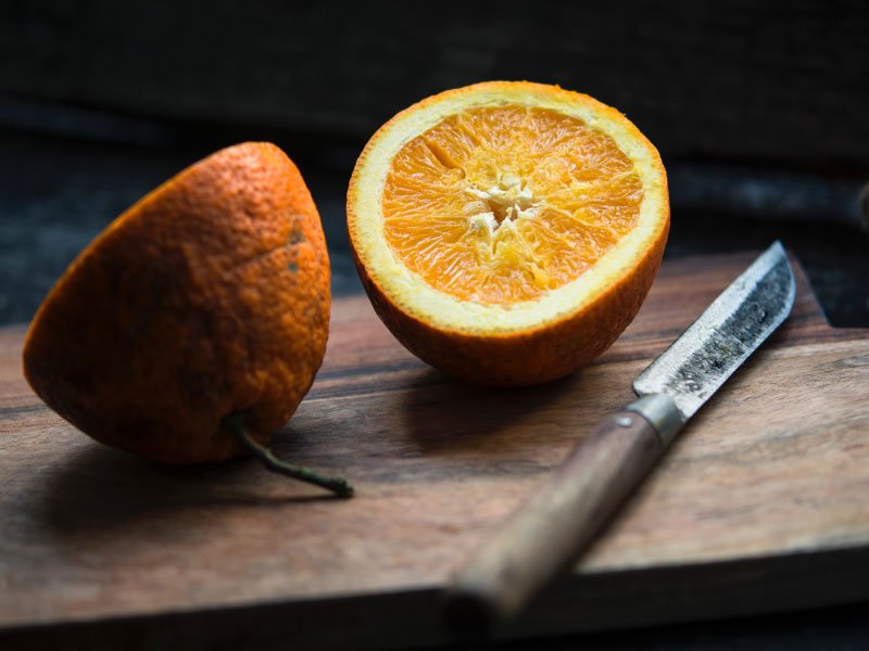 Peut-on mettre les agrumes dans le compost ? Oui !